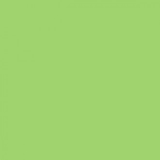 SF 074 : Пленка цвета зеленого перца