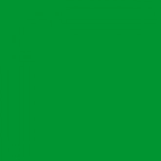 SF 009 : Пленка ярко-зеленого цвета