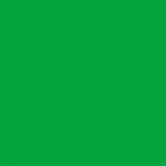 SF 008 : Пленка темно-зеленого цвета